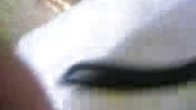 કાળી fucks બે ચરબી પગની પિંડી માં સેકસી પીચર વીડીયો ઊંડા ગળામાં