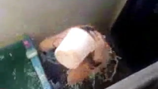 પુખ્ત સોનેરી sucks મિત્રને ત્યાં સુધી બે માણસો જોયા સેકસી વીડીયો ભેજો છે