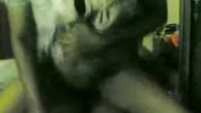 સોનેરી ફુલ સેકસી એચડી વીડીયો તમામ તિરાડો