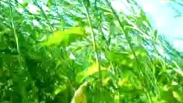 બે ગાય્ઝ એચડી સેકસ વીડીયો કોચથી પર fucked યુવાન હર્પીસ જોખમ સાથે knitted કવર