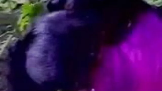 Bisex